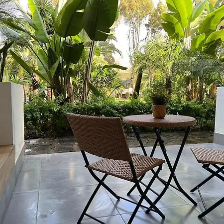 Puerto Banus Eddie *